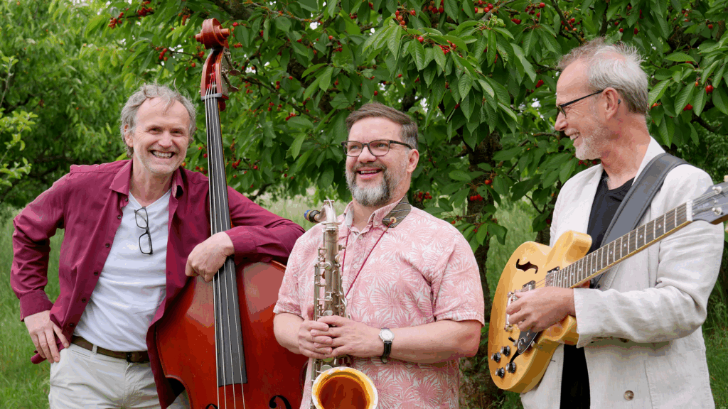 twm-Trio aus Magdeburg